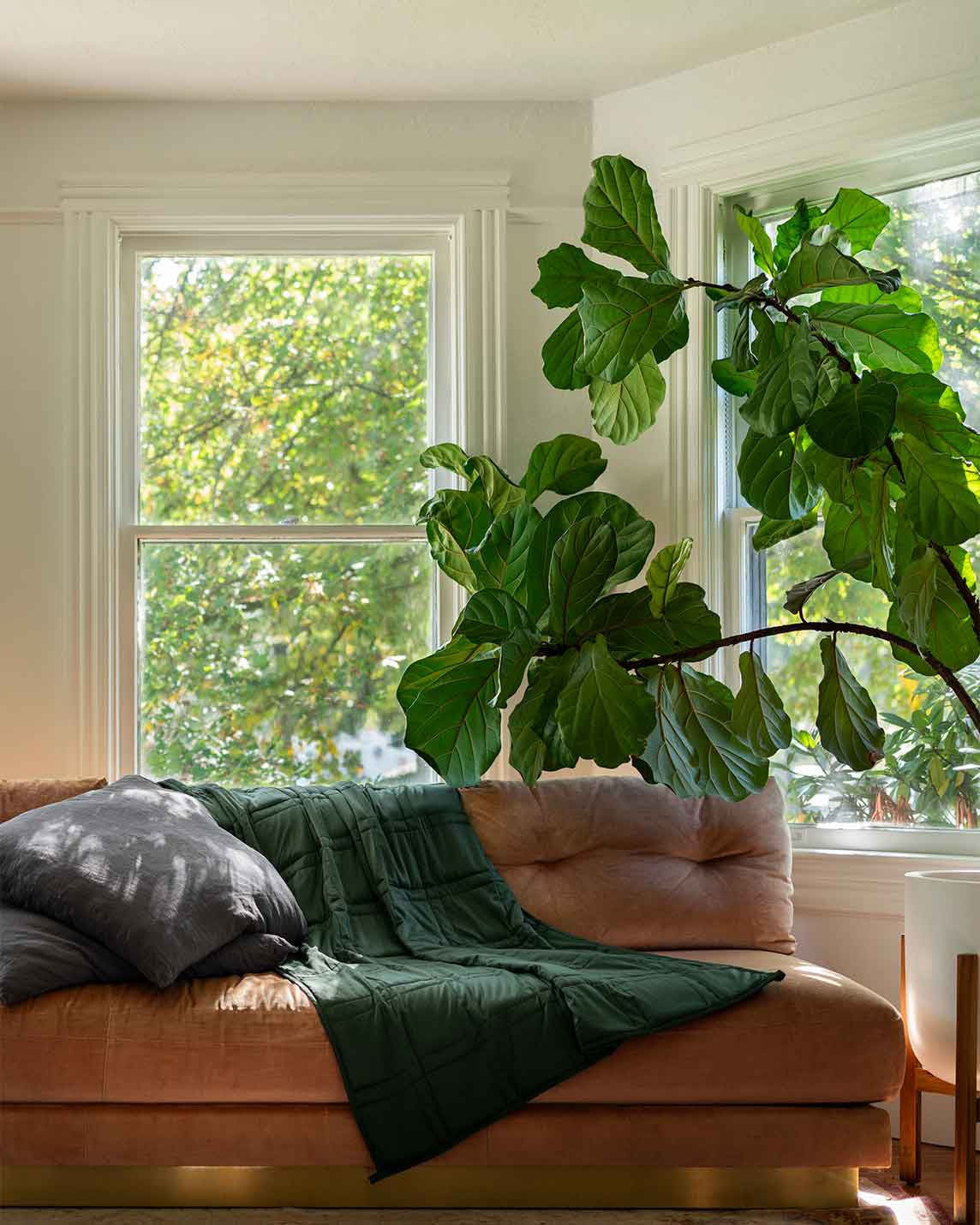 Premium Therapeutic Weighted Blanket